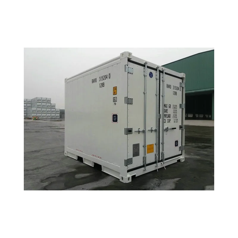 container-10-pieds-isotherme-neuf_jpg
